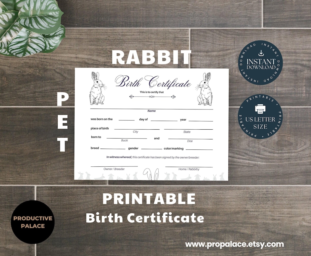 Printable * Rabbit Birth Certificate – Document Write in Birth Record, Home Birth, Farm Animal ...