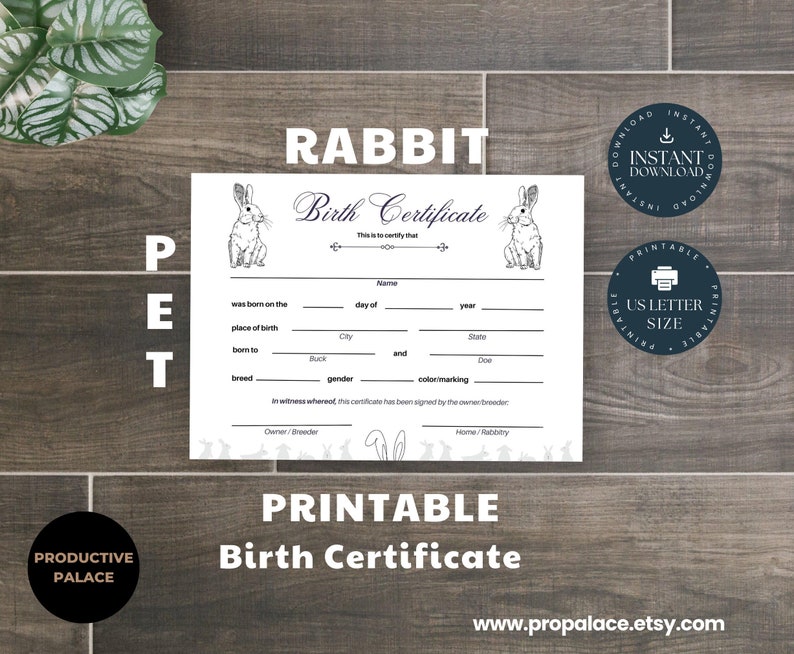 Printable * Rabbit Birth Certificate – Document Write in Birth Record ...