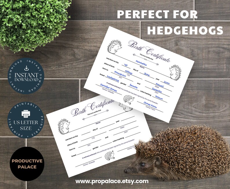 Printable Hedgehog Birth Certificate Document Write in Birth Record ...
