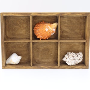 Espositore per collezioni in legno tinto / Organizzatore per gioielli / Scatola portaoggetti multifunzionale / Ripiano per curiosità tinto / Organizzatore diviso in colori vintage