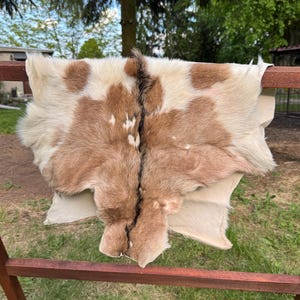 Real Goat Hide Rug | Natural Brown & White Skin | Genuine Goat Pelt | Rustic Cabin Decor | Tanned Animal Hide | Hunting Lodge Style | Gift