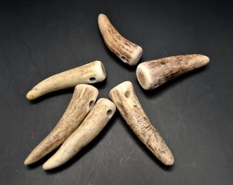 Red Deer Antler Tips, Drilled Pendant Blanks, 3–5 cm Rustic Jewelry Supply