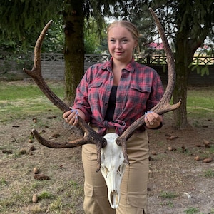 Large Red Deer Skull with Antlers – Authentic European Trophy Mount, Rustic Hunting Decor, Lodge Wall Art, Cabin Statement Piece, Gift