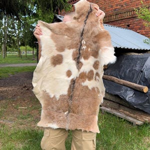 May include: A tanned animal hide with a natural pattern of brown spots and patches on a cream-colored background. The hide is held up, showcasing its texture and shape. The fur appears soft and the edges are irregular.