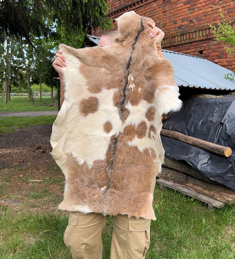 May include: A tanned animal hide with a natural pattern of brown spots and patches on a cream-colored background. The hide is held up, showcasing its texture and shape. The fur appears soft and the edges are irregular.