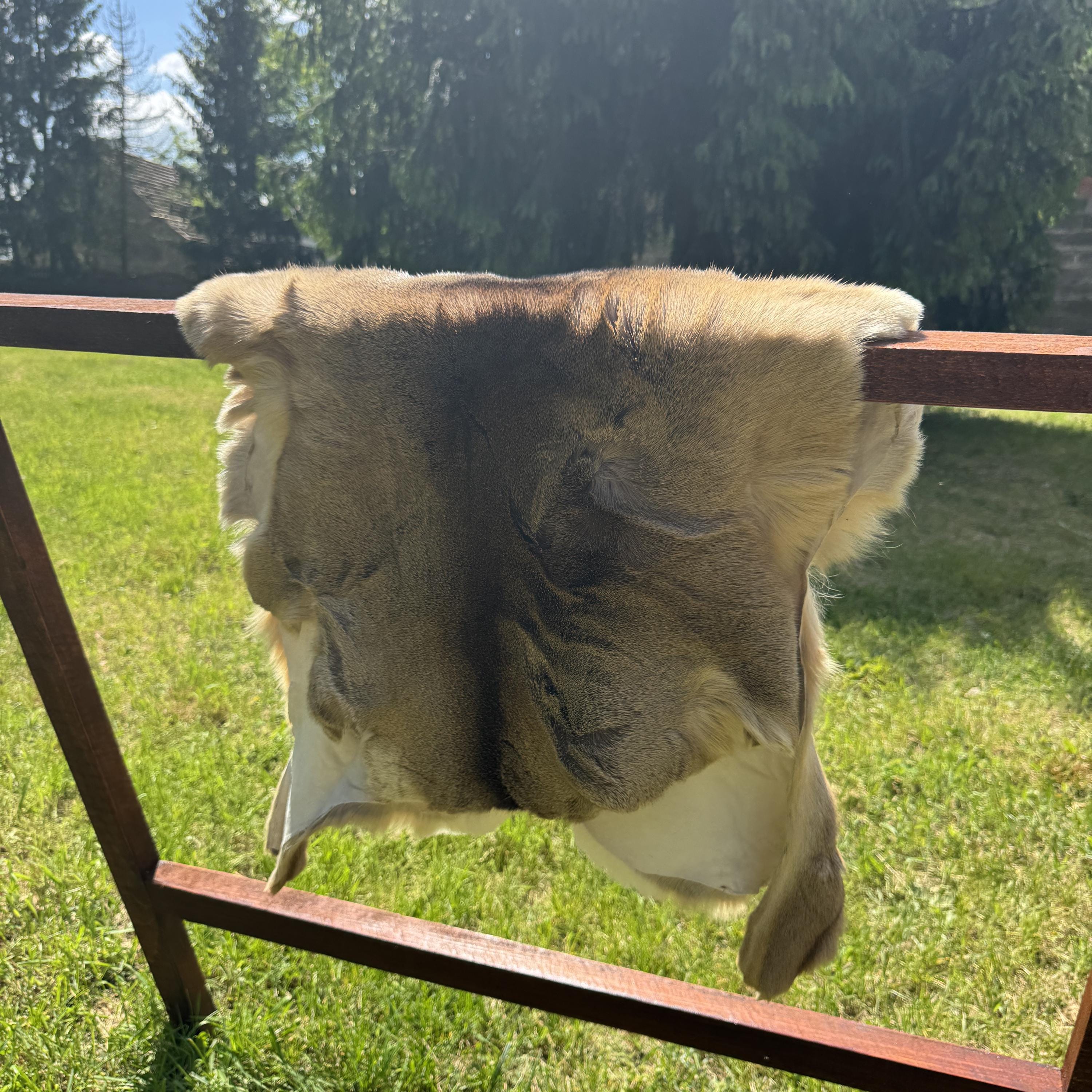 Real Roe Deer Hide Fur | Genuine Wild Animal Skin | Natural Tanned Deer ...