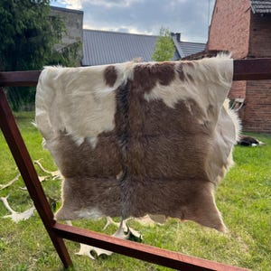 May include: A cowhide rug with a natural pattern of brown and cream colors. The rug is draped over a wooden frame outdoors, with antlers and a grassy background.