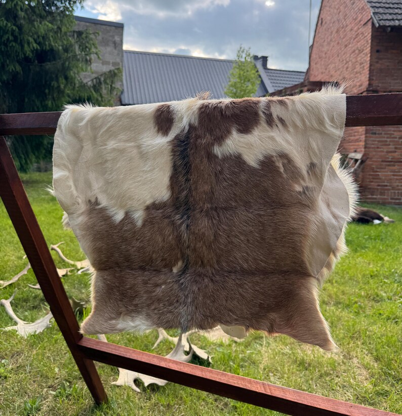 May include: A cowhide rug with a natural pattern of brown and cream colors. The rug is draped over a wooden frame outdoors, with antlers and a grassy background.