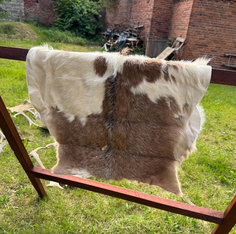 May include: A natural goat hide with a mix of brown, cream, and white fur. The hide is draped over a brown metal frame, showcasing its unique color pattern. The texture of the fur is visible, highlighting its natural quality.