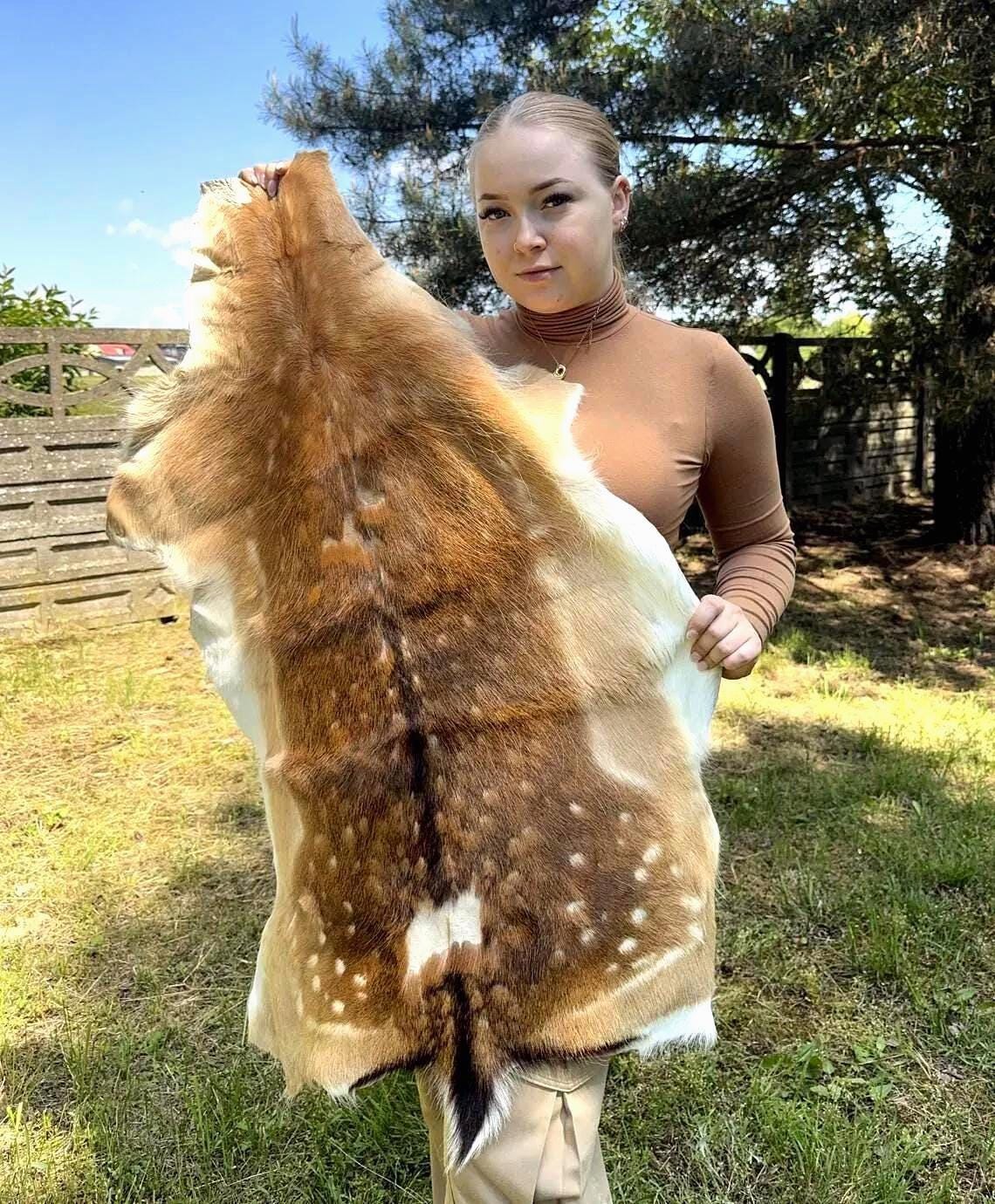 Elk hide rug - Etsy 日本