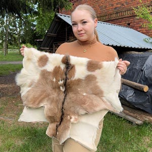 May include: A natural hide with a pattern of brown and white spots. The hide is held up, showcasing its texture and color variations. The hide appears to be a tanned animal skin, likely for decorative or craft purposes.
