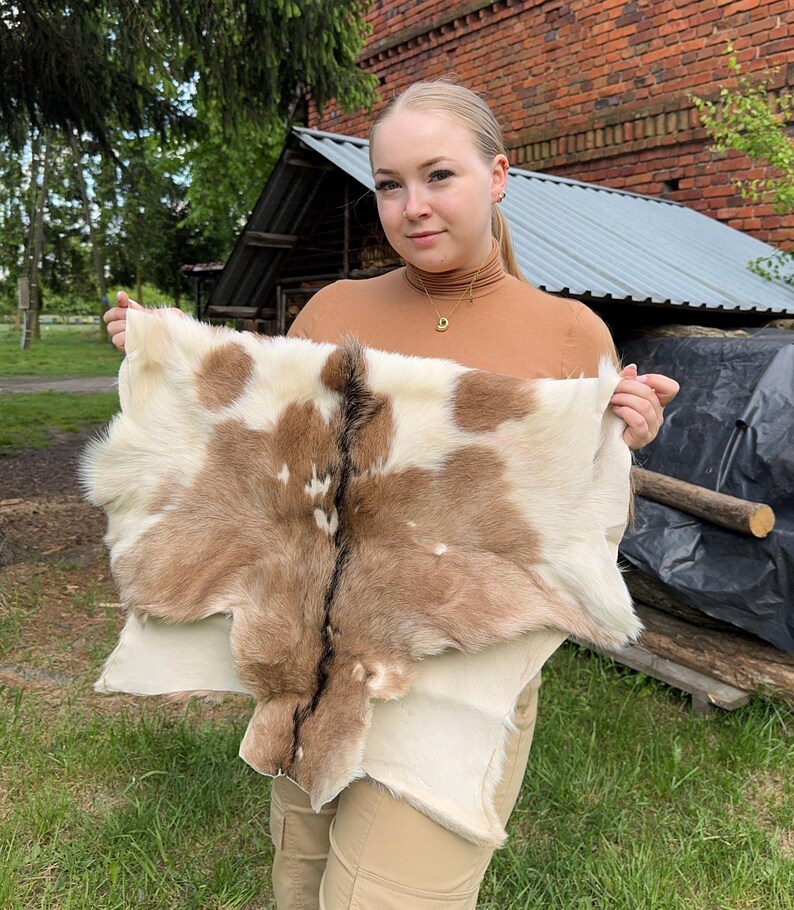 May include: A natural hide with a pattern of brown and white spots. The hide is held up, showcasing its texture and color variations. The hide appears to be a tanned animal skin, likely for decorative or craft purposes.