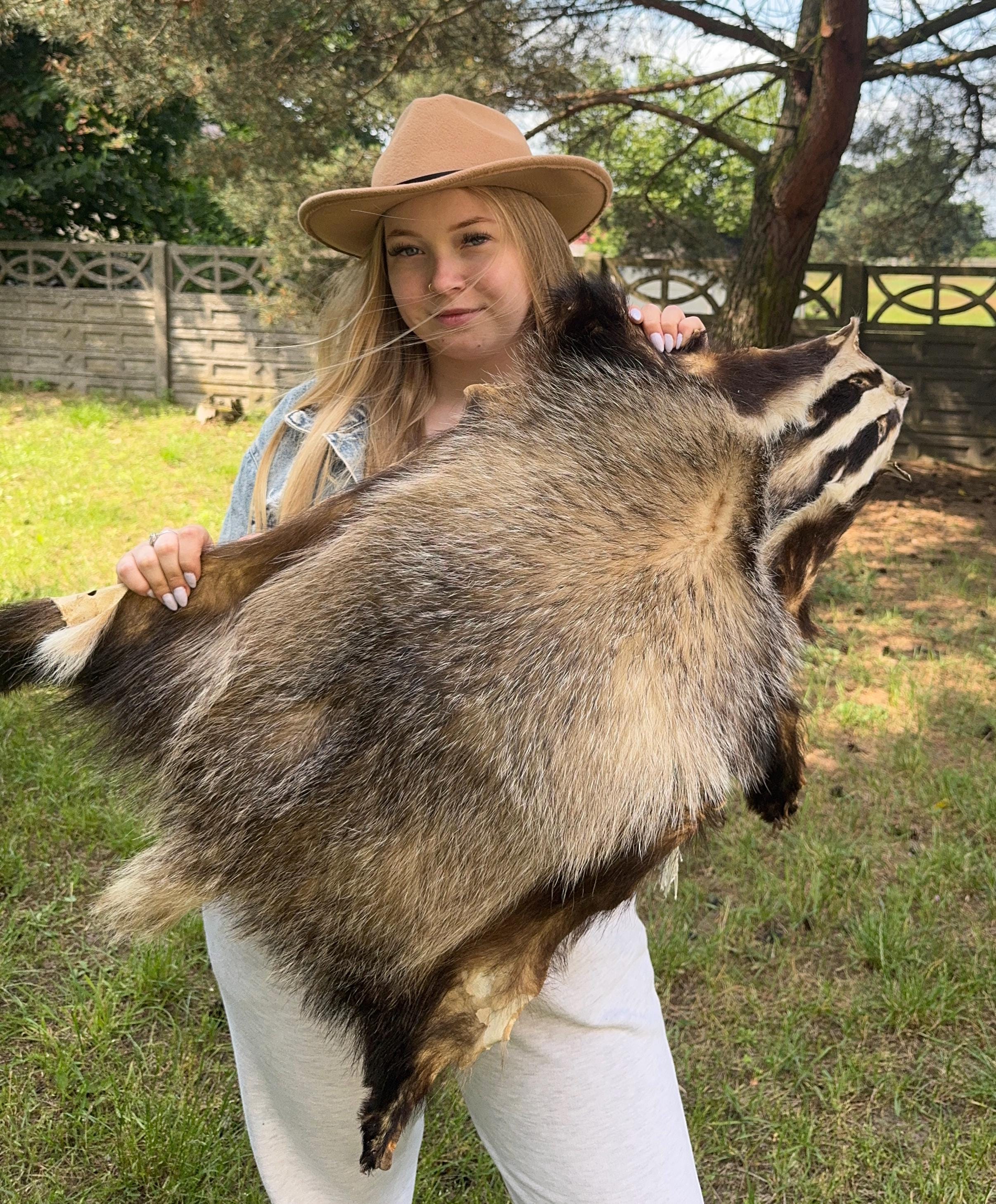 Real Hide Rug Real Badger Hide Rug | Natural Fur Pelt | Rustic Taxidermy Decor - Etsy