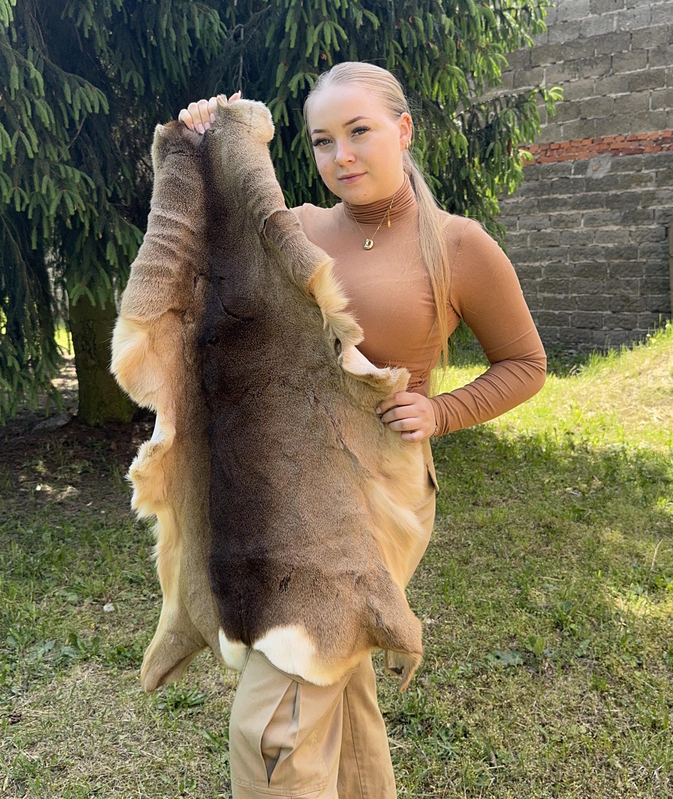 Real Roe Deer Hide Fur | Genuine Wild Animal Skin | Natural Tanned Deer Pelt | Rustic Cabin Decor | Viking Wall Art | Taxidermy Craft | Gift