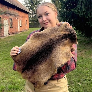 Tanned Nutria Fur Pelt – Craft Hide for Sewing, Hats, Small Rugs