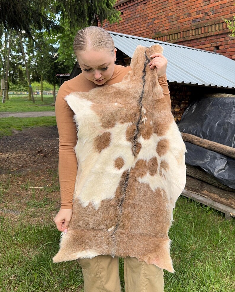 May include: A natural goat hide rug with a mix of brown and cream-colored fur. The hide features a spotted pattern and a dark brown stripe down the center. The rug is held up in front of a person.