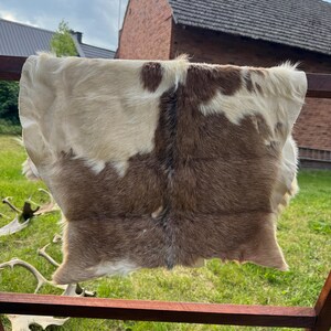 May include: A natural hide rug with a mix of brown and cream colors. The rug has a soft, furry texture and a unique pattern. The hide is displayed outdoors, draped over a wooden structure, with a green lawn and buildings in the background.