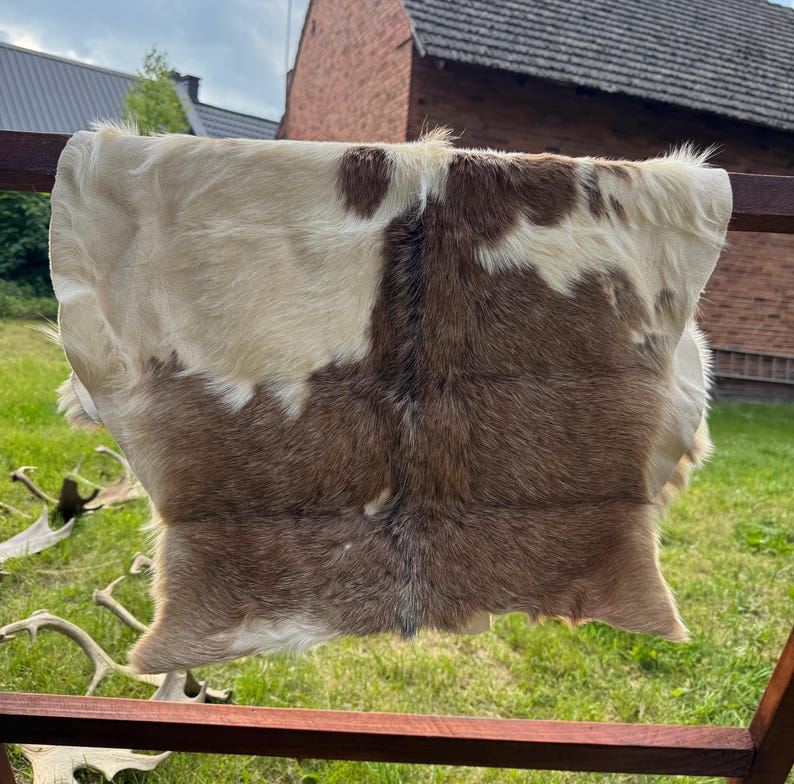 May include: A natural hide rug with a mix of brown and cream colors. The rug has a soft, furry texture and a unique pattern. The hide is displayed outdoors, draped over a wooden structure, with a green lawn and buildings in the background.