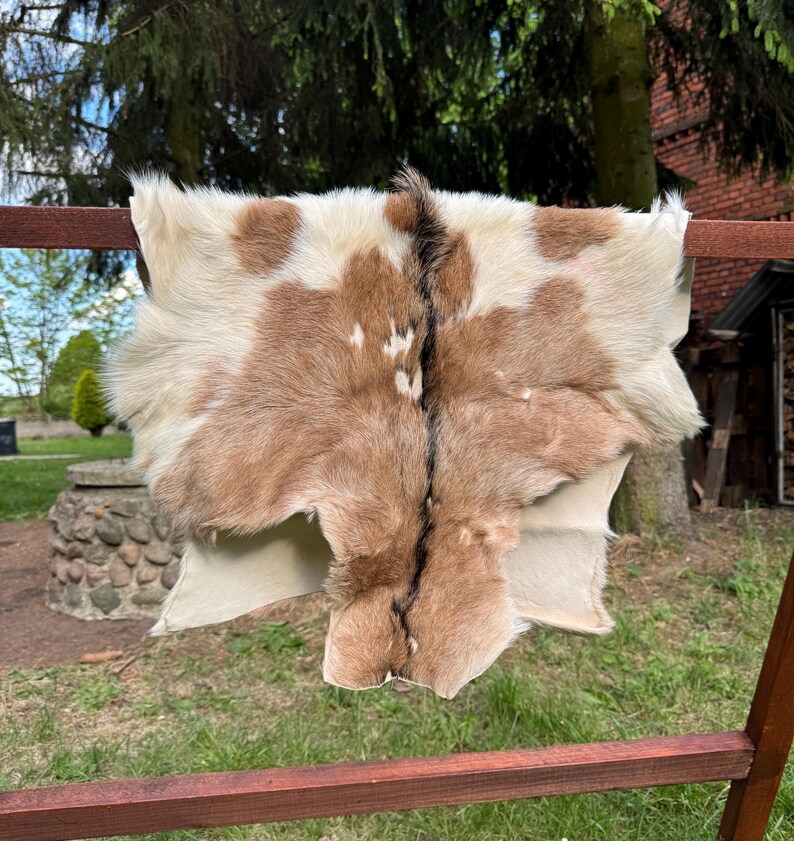 May include: A natural goat skin rug with a mix of brown and white fur. The hide is displayed outdoors, draped over a wooden structure, showcasing its texture and color variations. The rug has a central dark brown stripe.