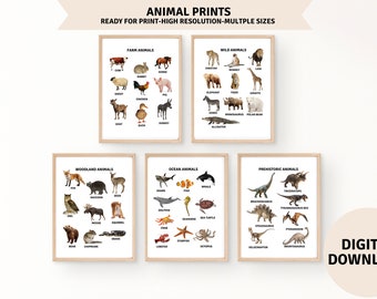 Set of 5 Animal Photo Posters, Homeschool Decor, Montessori, Playroom Wall Art, Printable