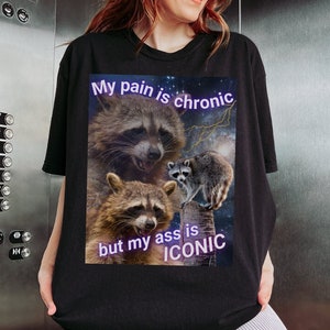 My Pain Is Chronic But My Ass Iconic Raccoon Meme Shirt, Unisex Raccoon Meme Shirt, Funny Gift Shirt, Opossum Tee