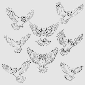 Owl SVG Bundle - 8 different flying owls in svg png dxf jpeg eps  - bird clipart - cricut personal and commercial use