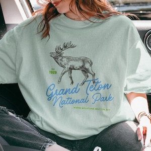 Grand Teton National Park Comfort Farben Grafik-T-Shirt