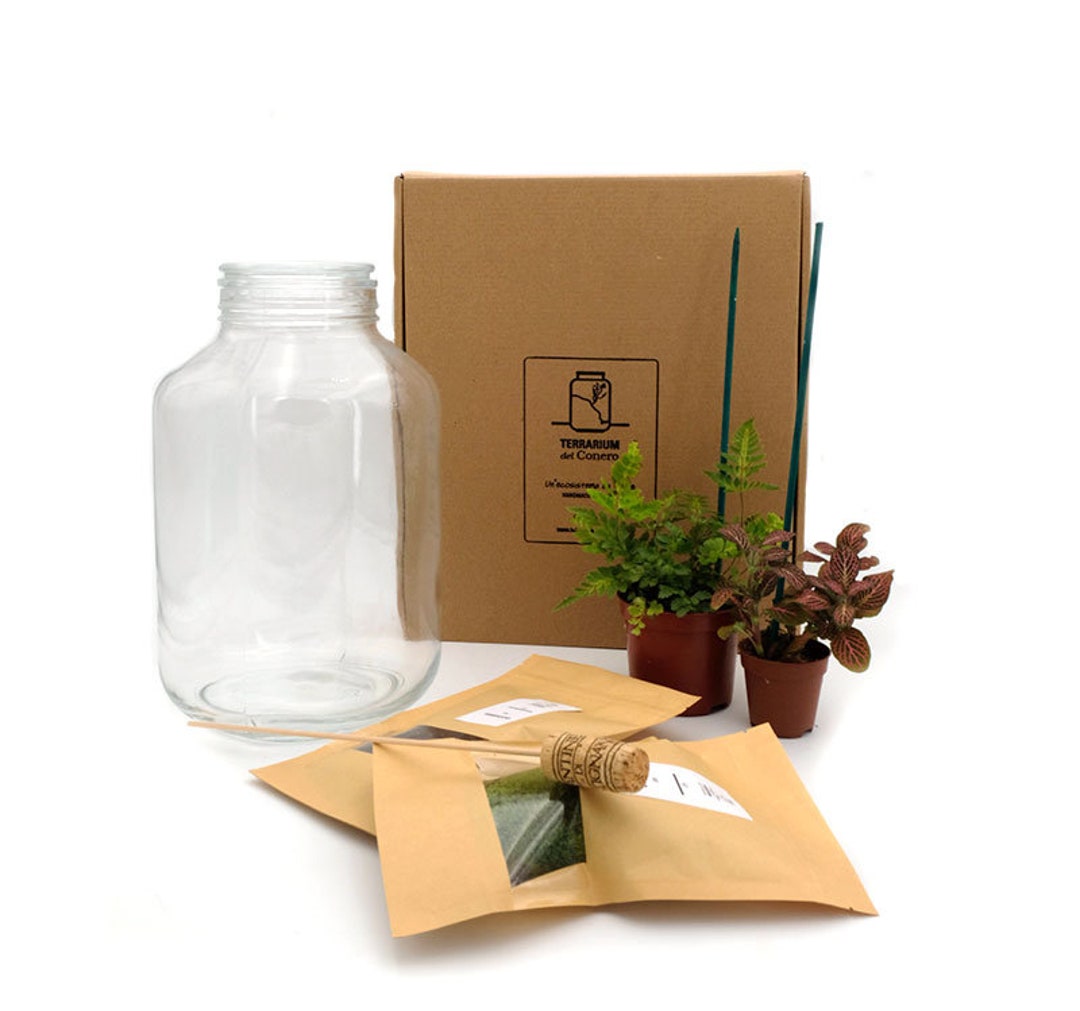 Terrarium Kits Etsy