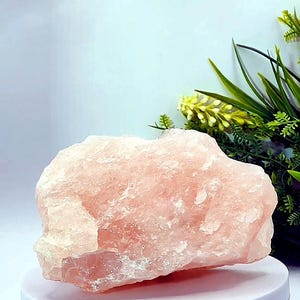 Natural Rose Quartz Crystal - 675g, 13cm | Raw Pink Quartz for Love, Healing & Home Decor From Brazil