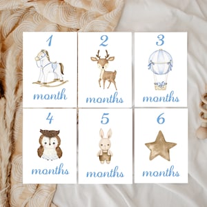 Milestone Cards || Baby Boy |l Milestone Cards