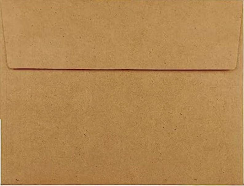 May include: A brown paper envelope with a flap.