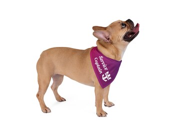 Bandana para mascotas Royal Ombre Service Captain