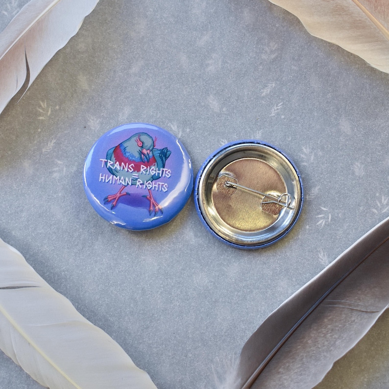 trans rights pigeon button pin