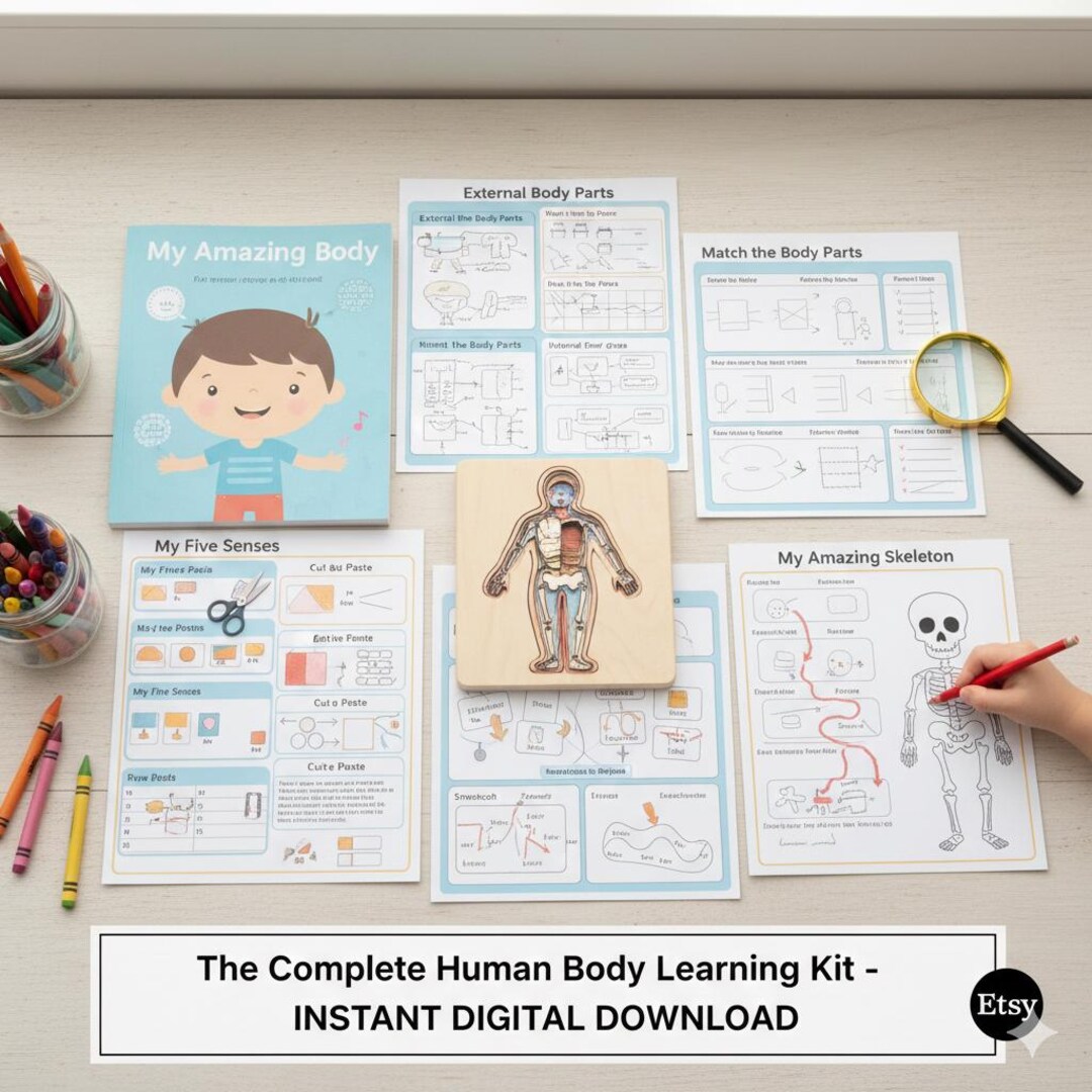 Human Body Systems Activity, Anatomy Busy Book Page, Preschool ...