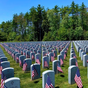 Veteran Cemetery American Flags