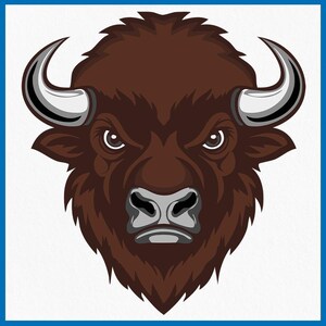 Puede incluir: Una ilustración de dibujos animados de un bisonte marrón y gris con una expresión seria. El bisonte tiene grandes cuernos y un pelaje grueso.