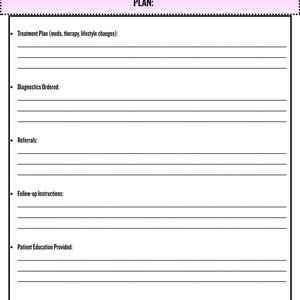 Nursing Documentation Template | Canva Editable Hpi & Ros Form for iPad ...
