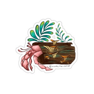 Hermit crab sticker // forest and ocean sticker // fern and fungi sticker