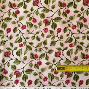 Tissu américain coupé cm. 47x54 choix entre 3 motifs coordonnés Tissu aux mûres pour patchwork quilting couture créative marque Red Rooster fantasia more rosa