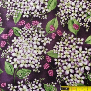 American fabric cut cm. 47x54 choice between 3 coordinated patterns Fabric with blackberries for patchwork quilting creative sewing brand Red Rooster fantasia more viola