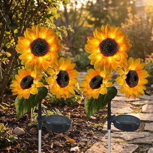 Peut inclure: Lampes solaires de jardin en forme de tournesols. Les fleurs jaunes et oranges ont un centre sombre et sont illuminées par de petites lumières. Les fleurs sont fixées à un poteau noir avec un panneau solaire. Les lampes sont placées dans un jardin.