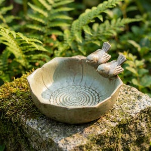 Peut inclure: Un bain d'oiseaux en céramique vert clair, orné de deux petits oiseaux sur le bord. Le bol présente un motif texturé en forme de fleur au centre. Le bain d'oiseaux est posé sur une pierre moussue, entouré de verdure.