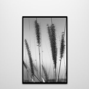 Black and White Oats Field Art, Minimalist Nature photography, Printable wall art, Nature Print. Ready to print out for any ratio.