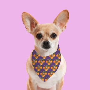 Clementine Pet Bandana: Orange Tangerine Dog Cat Bandana
