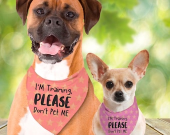 In Training Dog Bandana: Alert Others, Soft Spun Poly