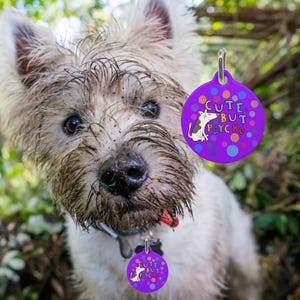 Funny Dog Id Tag with Metal Ring, Cute But Psycho, Cute But Psycho Dog Id Tag, Cute But Psycho Dog Tag for Collar, Funny Dog Tag