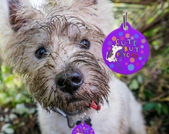 Funny Dog Id Tag with Metal Ring, Cute But Psycho, Cute But Psycho Dog Id Tag, Cute But Psycho Dog Tag for Collar, Funny Dog Tag