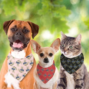 May include: Three pets wearing bandanas with a juniper berry pattern. A brown and white boxer dog wears a pink bandana, a chihuahua wears a red bandana, and a tabby cat wears a black bandana.