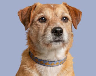 Peanut Dog Collar: Custom Collar for Pets with Peanut Design