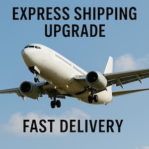 May include: A white passenger aeroplane in flight against a blue sky. The text "EXPRESS SHIPPING UPGRADE" is above the plane, and "FAST DELIVERY" is below.